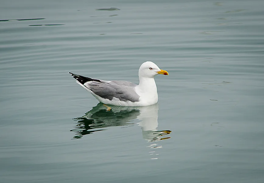 La Spezia