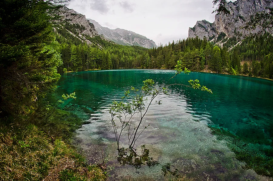 Grüner See