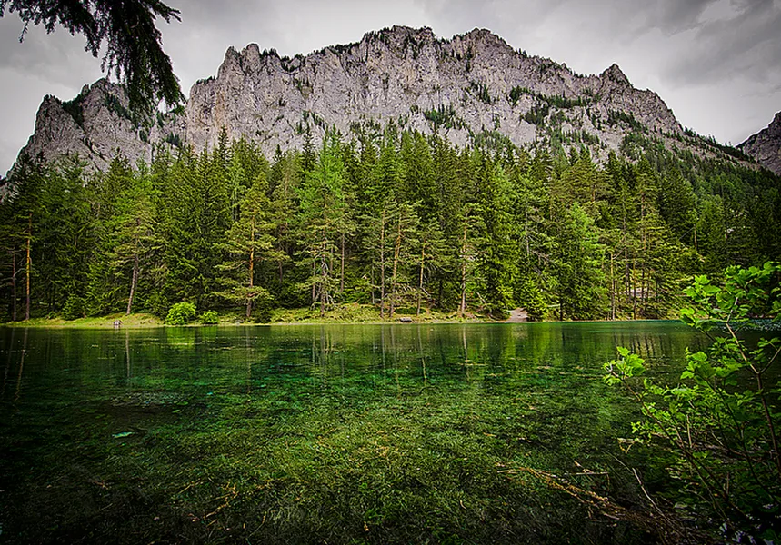 Grüner See