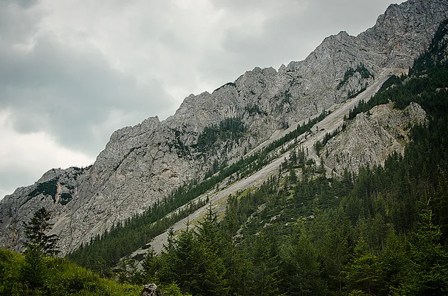Grüner See