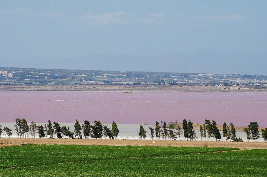 Torrevieja