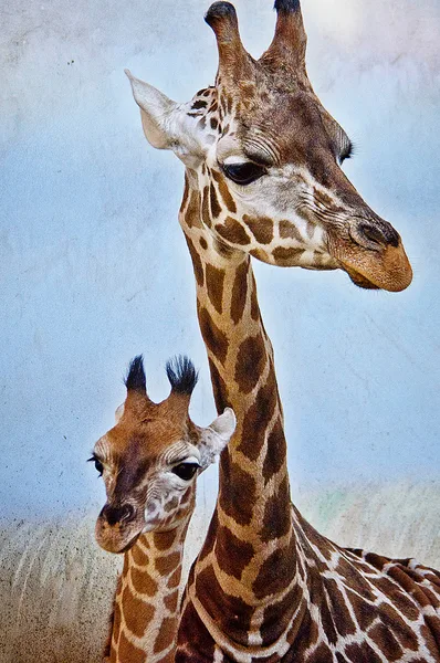 ZOO Praha
