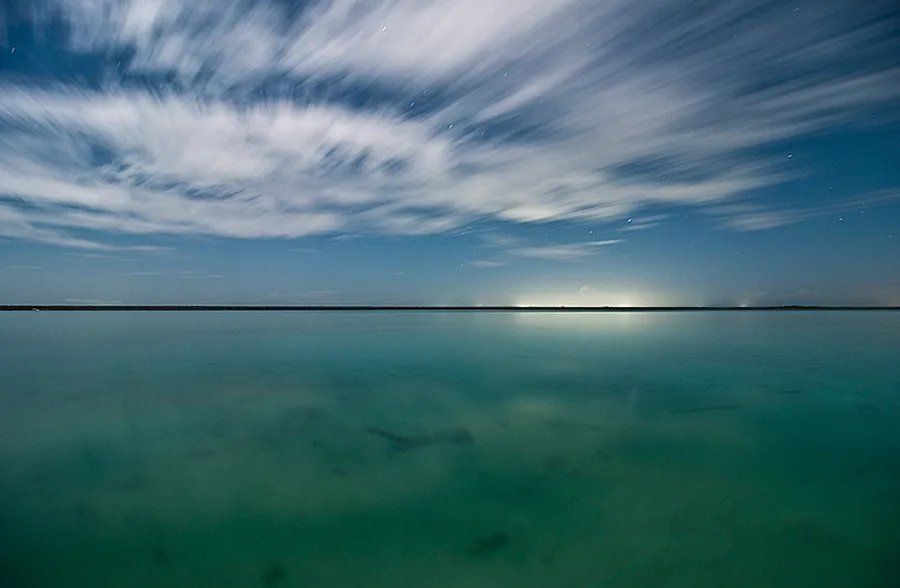 Bacalar
